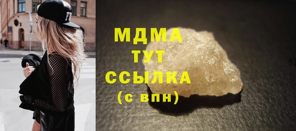 гашик Алексин