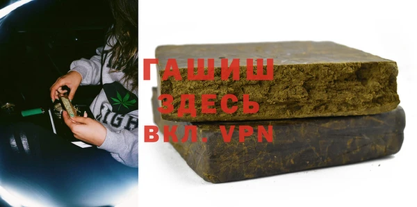 гашик Алексин