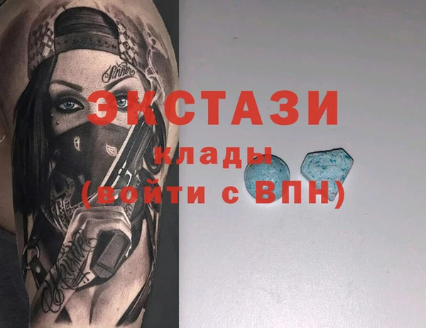гашик Алексин