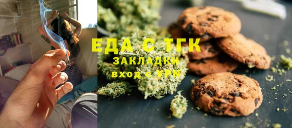 гашик Алексин